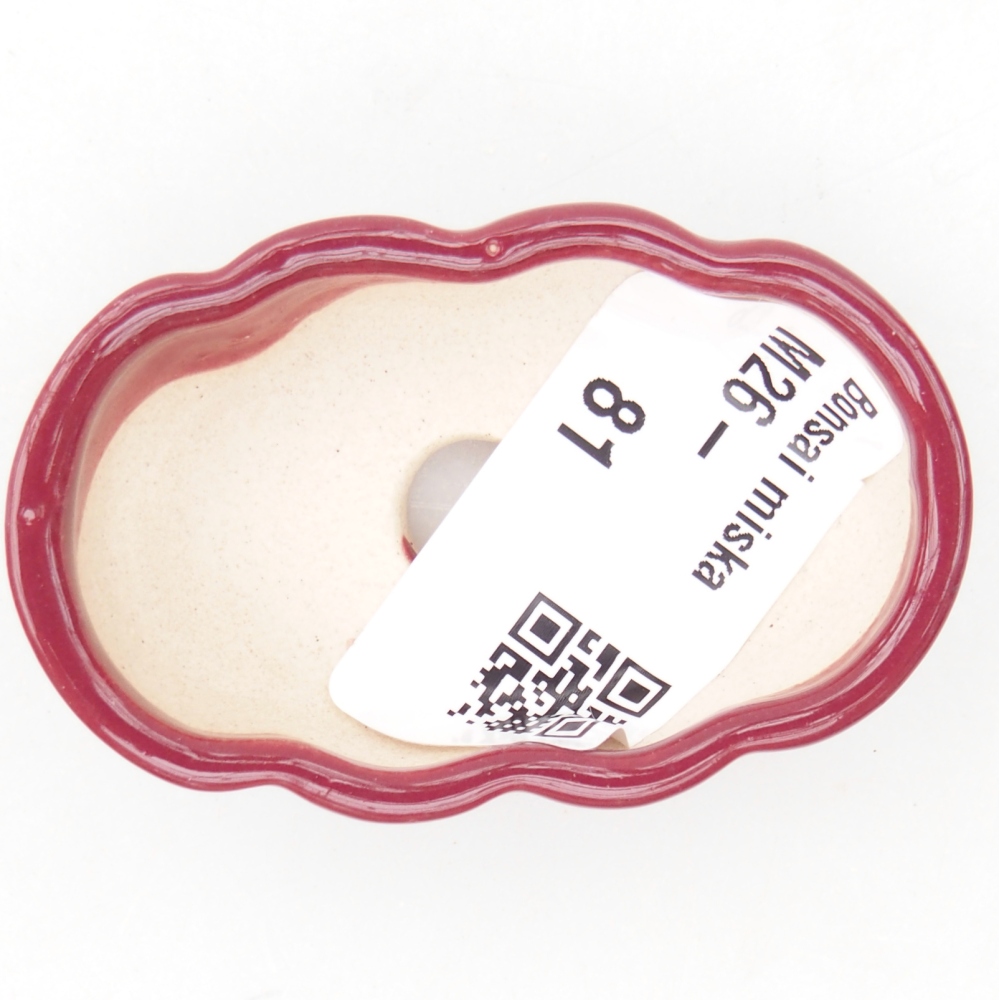 Mini bol bonsaï 5,5 x 3,5 x 1,5 cm, bordeaux