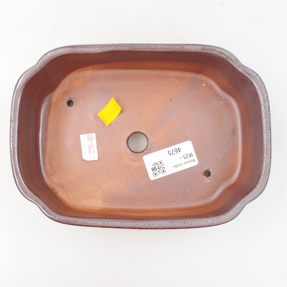 Bol à bonsaï en céramique 18 x 13 x 5 cm, brun