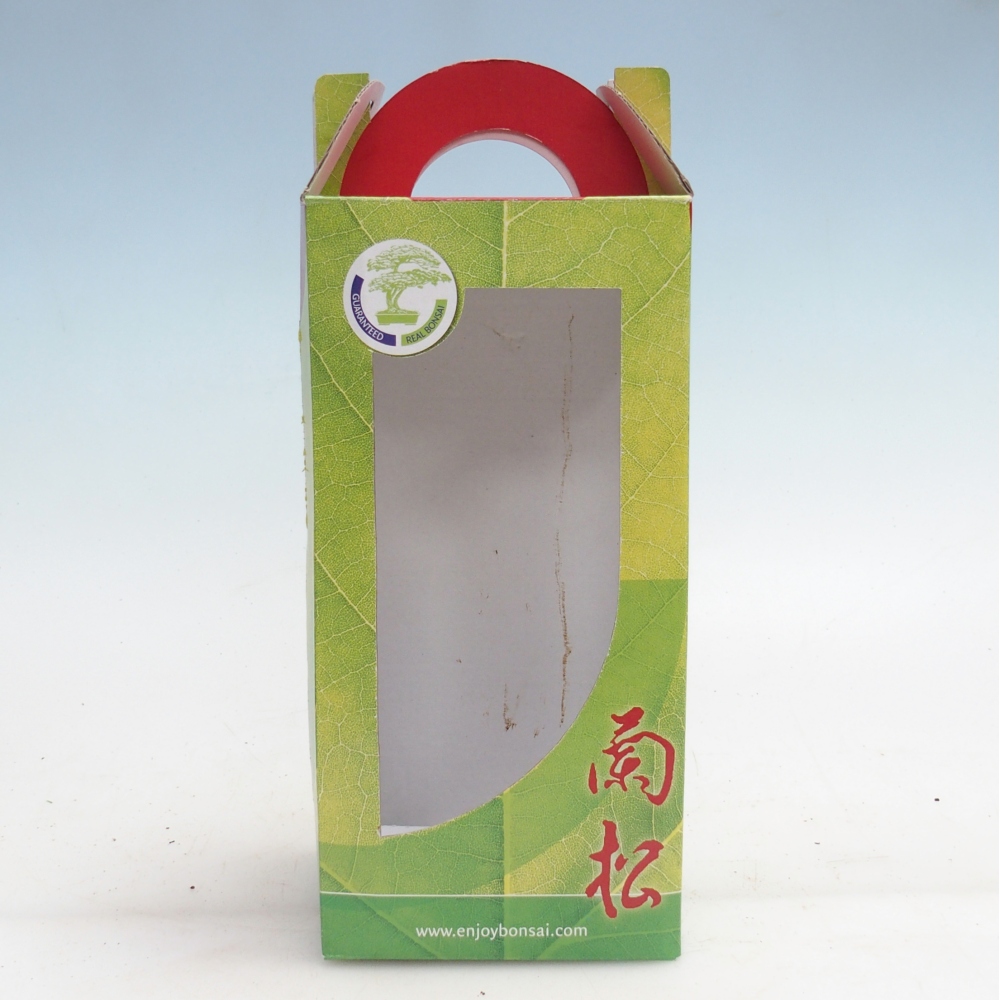 Boîte à bonsaïs - papier