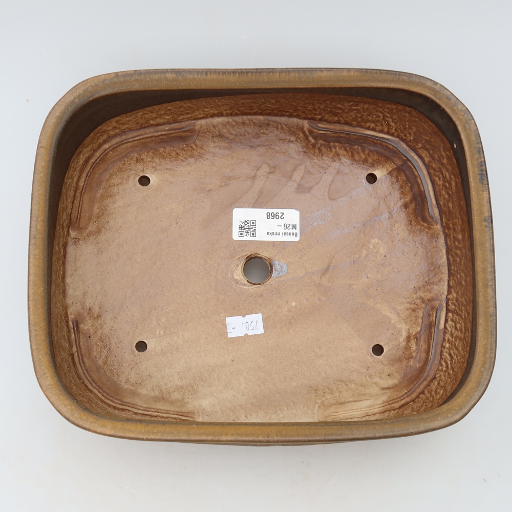 Pot à bonsaï en céramique 24,5 x 20,5 x 6,5 cm, couleur marron