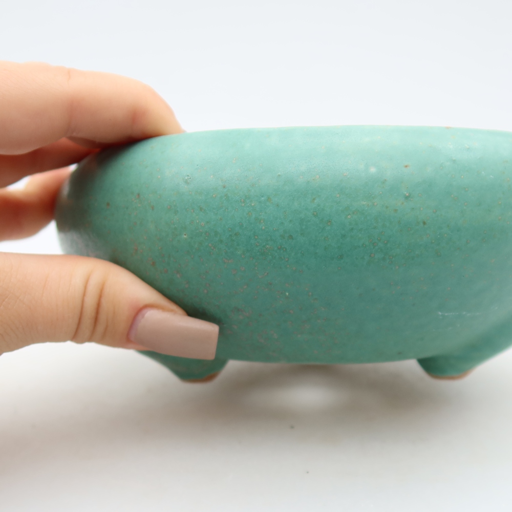 Pot à bonsaï en céramique 15 x 15 x 6,5 cm, couleur verte