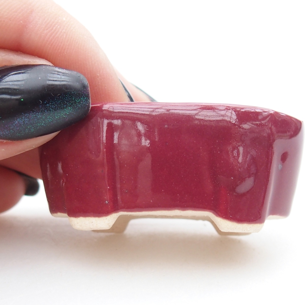 Mini bol bonsaï 4,5 x 2,5 x 2 cm, couleur bordeaux