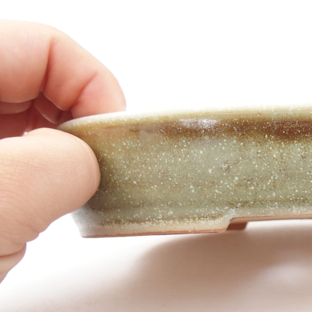 Bol à bonsaï en céramique 22 x 17 x 5 cm, vert