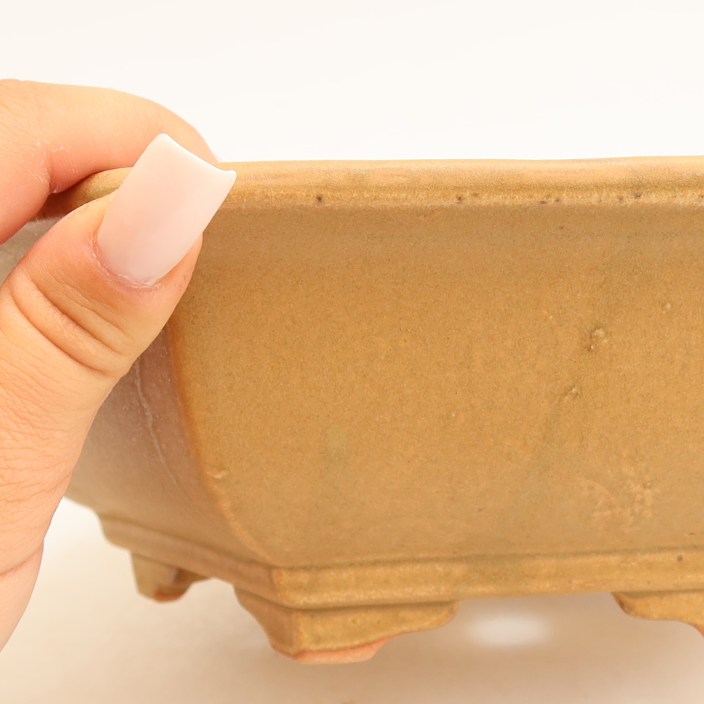 Pot à bonsaï en céramique 24 x 21,5 x 7,5 cm, couleur beige