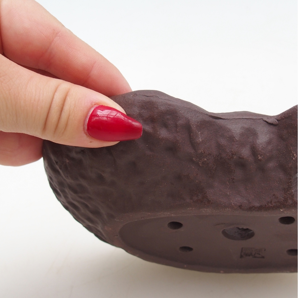 Coquille en céramique 17 x 12 x 3 cm , couleur marron