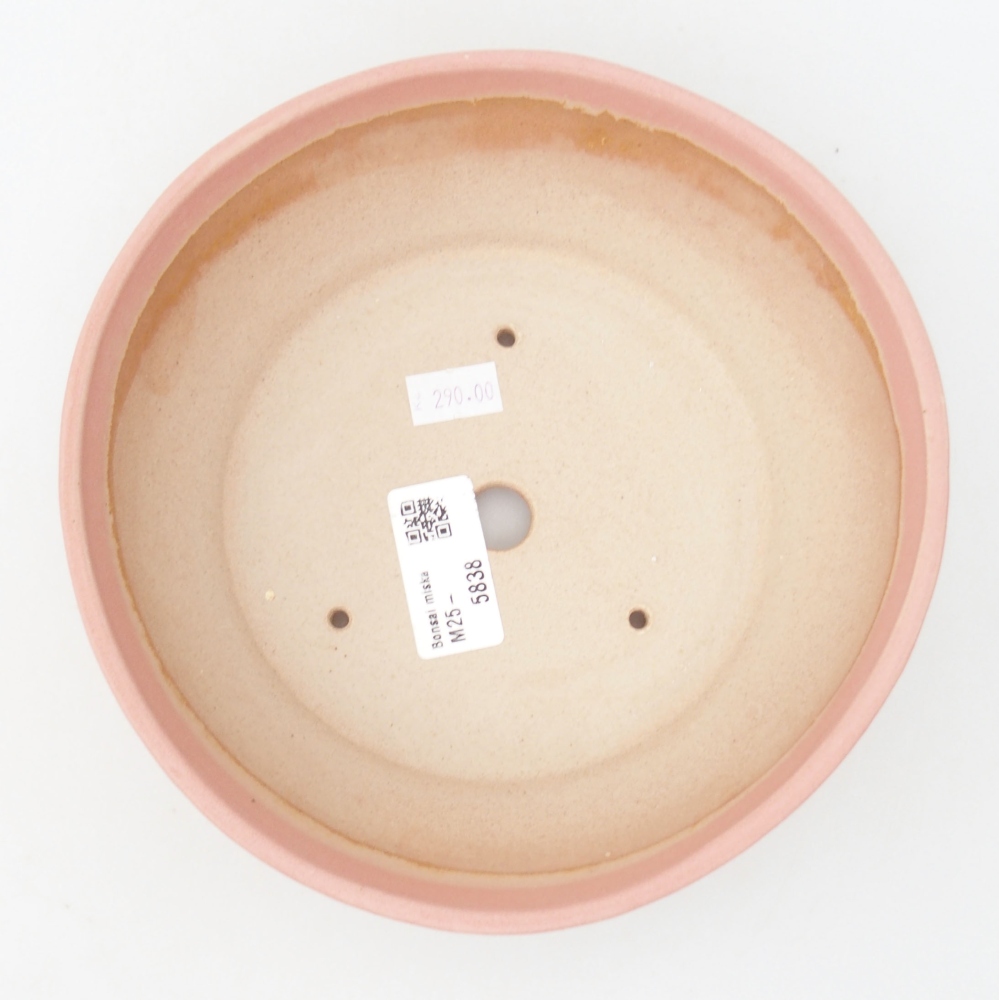 Bol à bonsaï en céramique 22 x 17 x 5 cm, vert