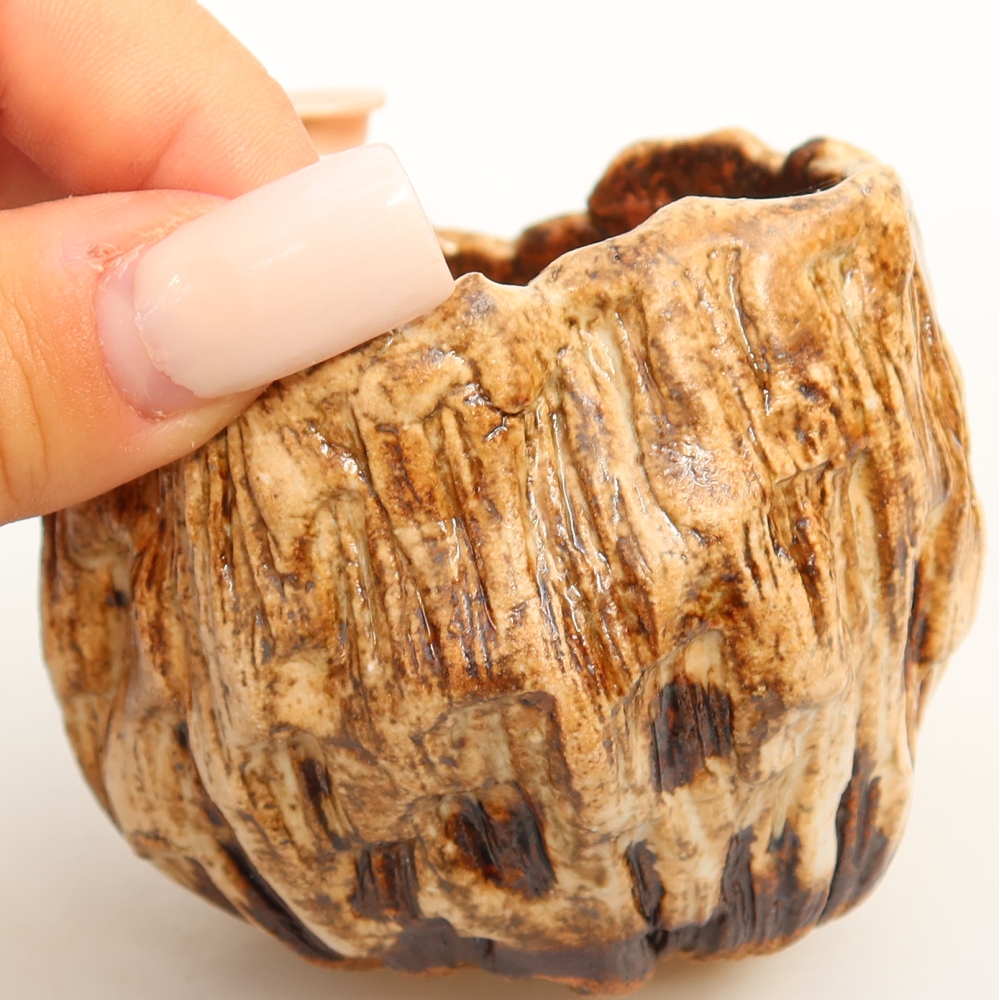 Coquille en céramique  7 x 7 x 6,5 cm, couleur blanc-brun