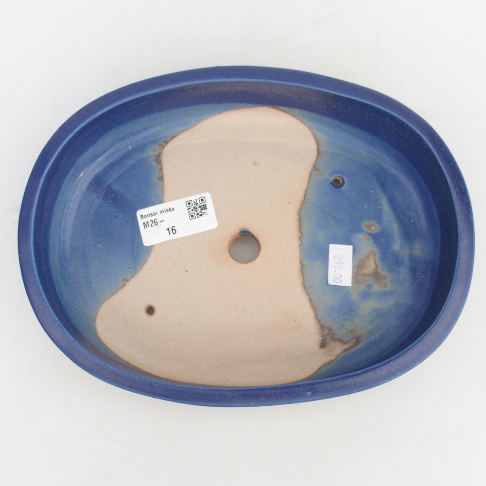 Bol à bonsaï en céramique 22,5 x 17 x 4,5 cm, couleur bleu