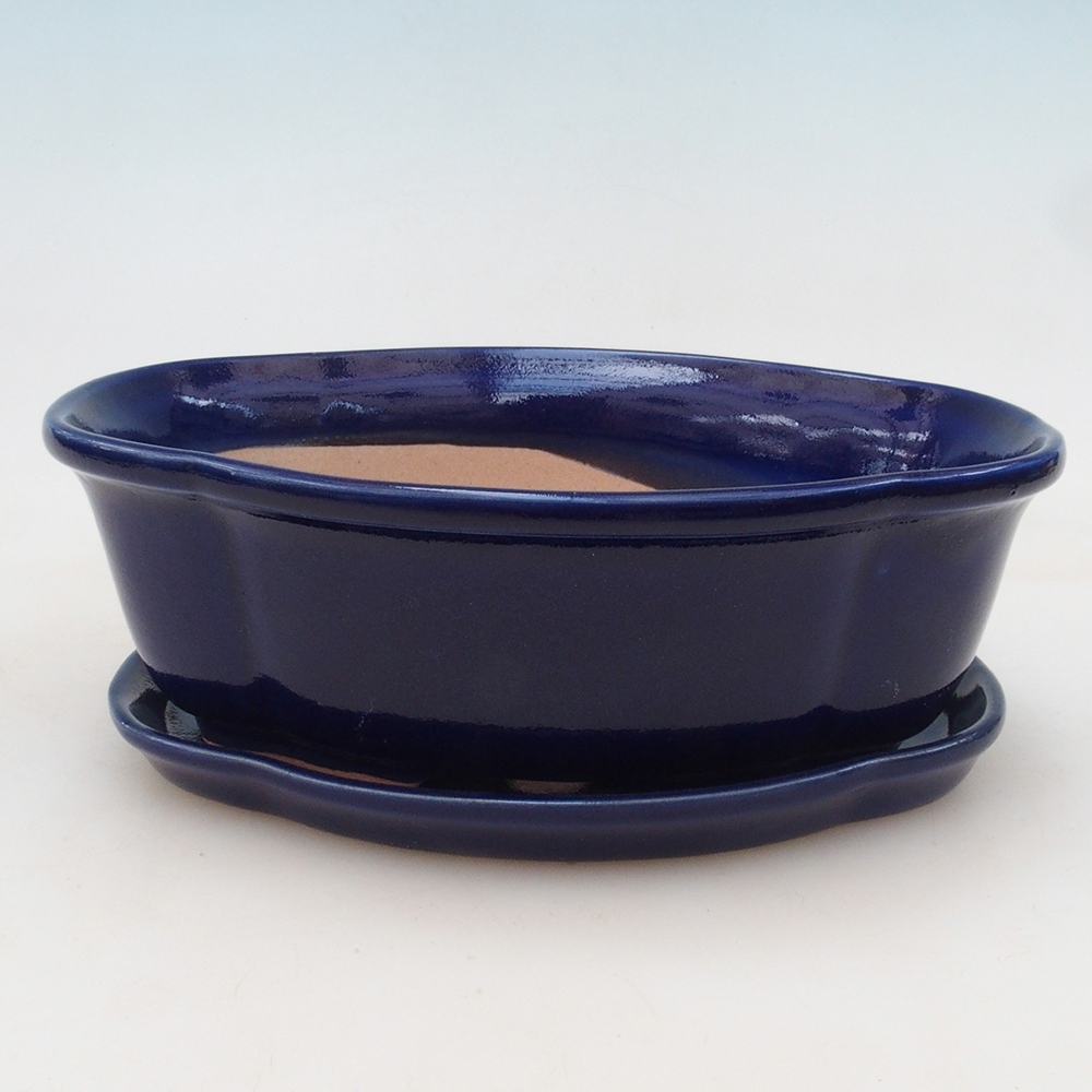 Bol Bonsaï + soucoupe H75 - bleu