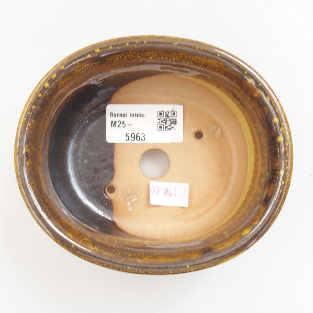 Bol à bonsaï en céramique 22 x 17 x 5 cm, vert