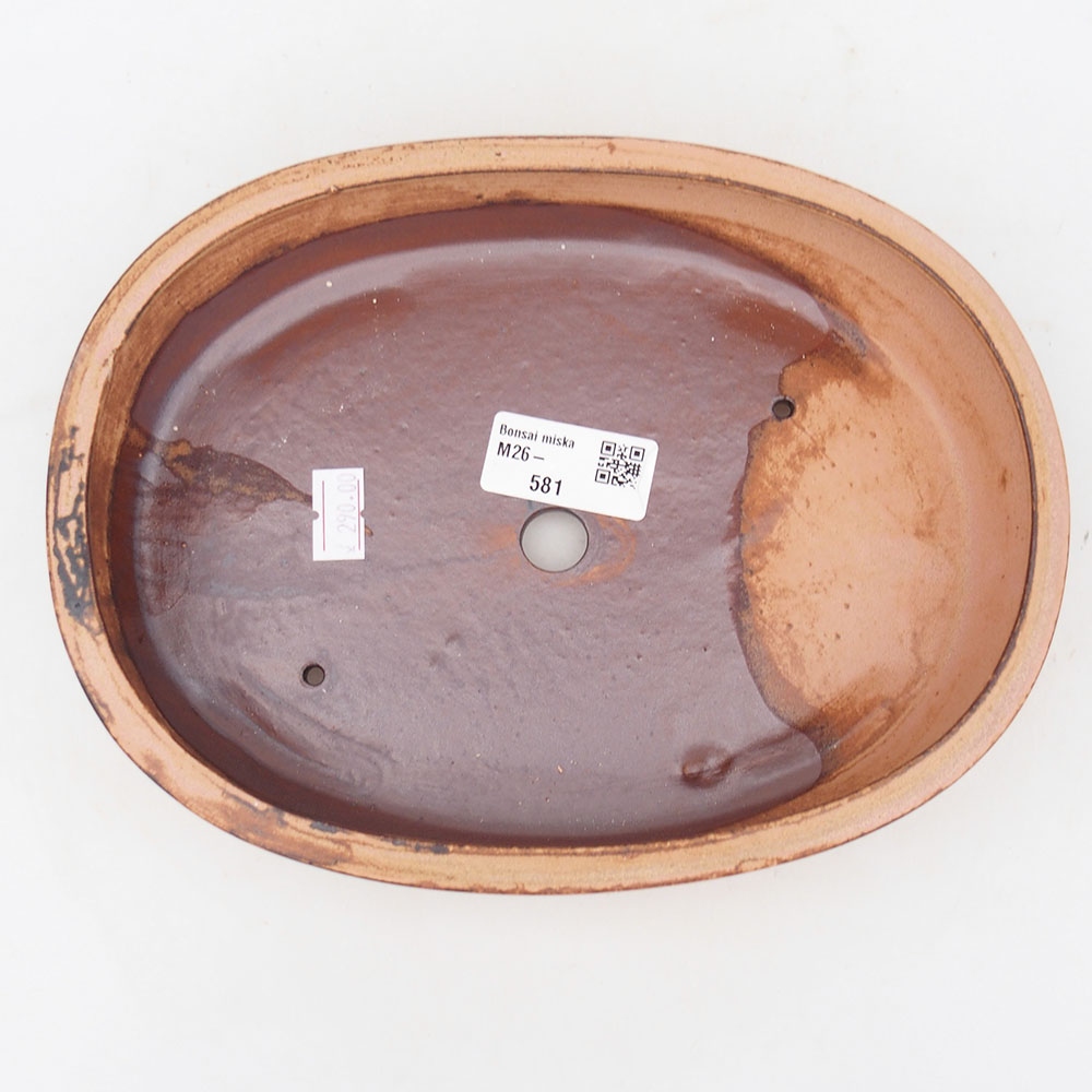 Bol à bonsaï en céramique 22 x 17 x 4 cm, rose