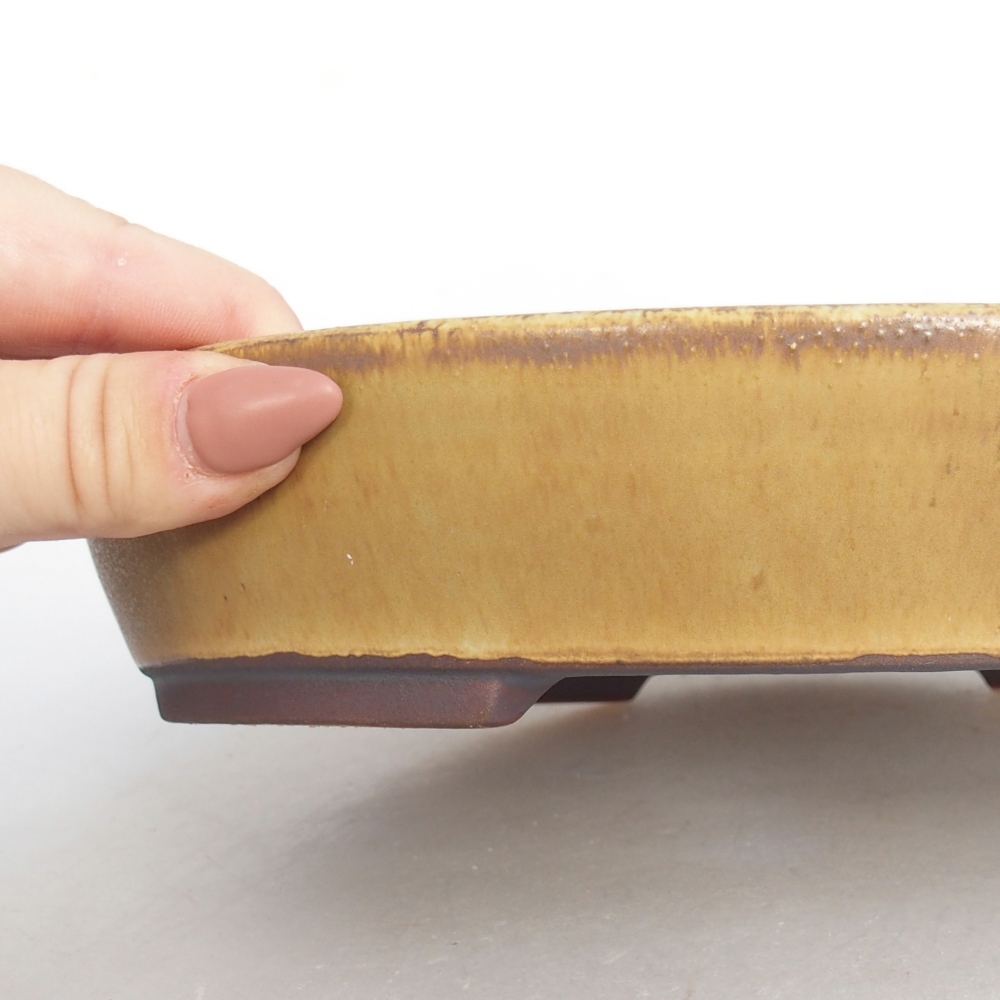 Bol à bonsaï en céramique 22,5 x 20 x 4,5 cm, vert