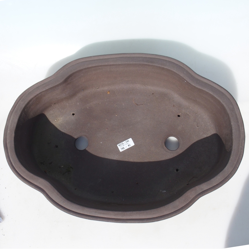 Bol pour bonsaï 53 x 38 x 14 cm - brun