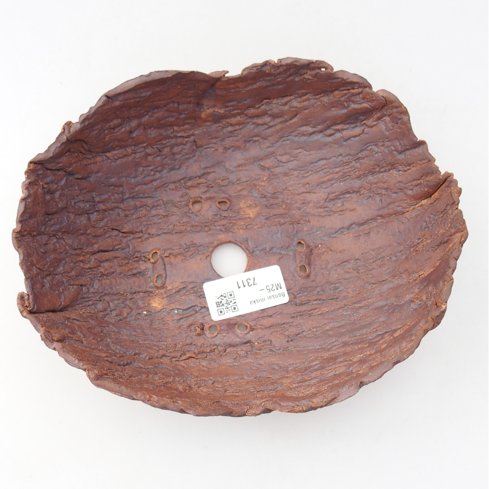 Coquille en céramique 20 x 16 x 6 cm , couleur marron