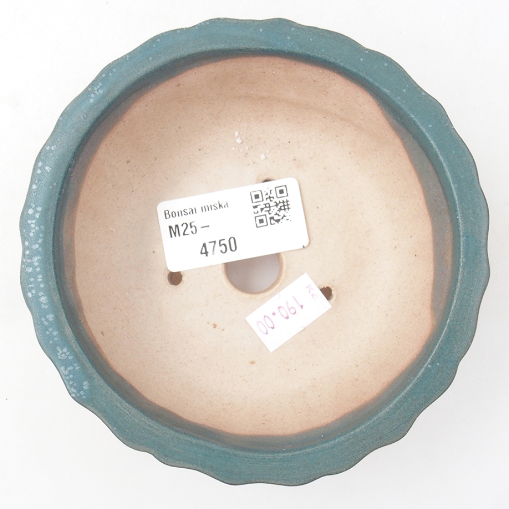 Bol à bonsaï en céramique 11 x 11 x 5 cm, couleur bleu