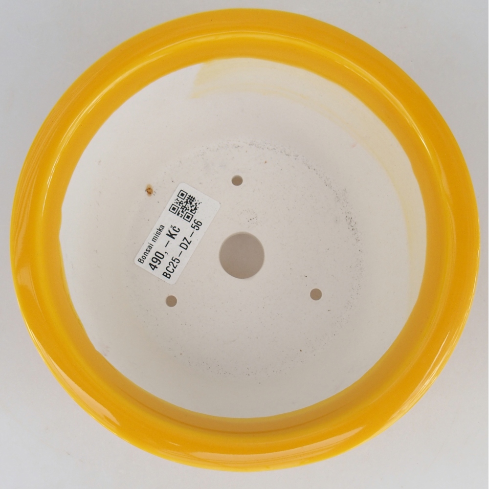 Bol à bonsaï en céramique 16 x 16 x 8,5 cm, jaune