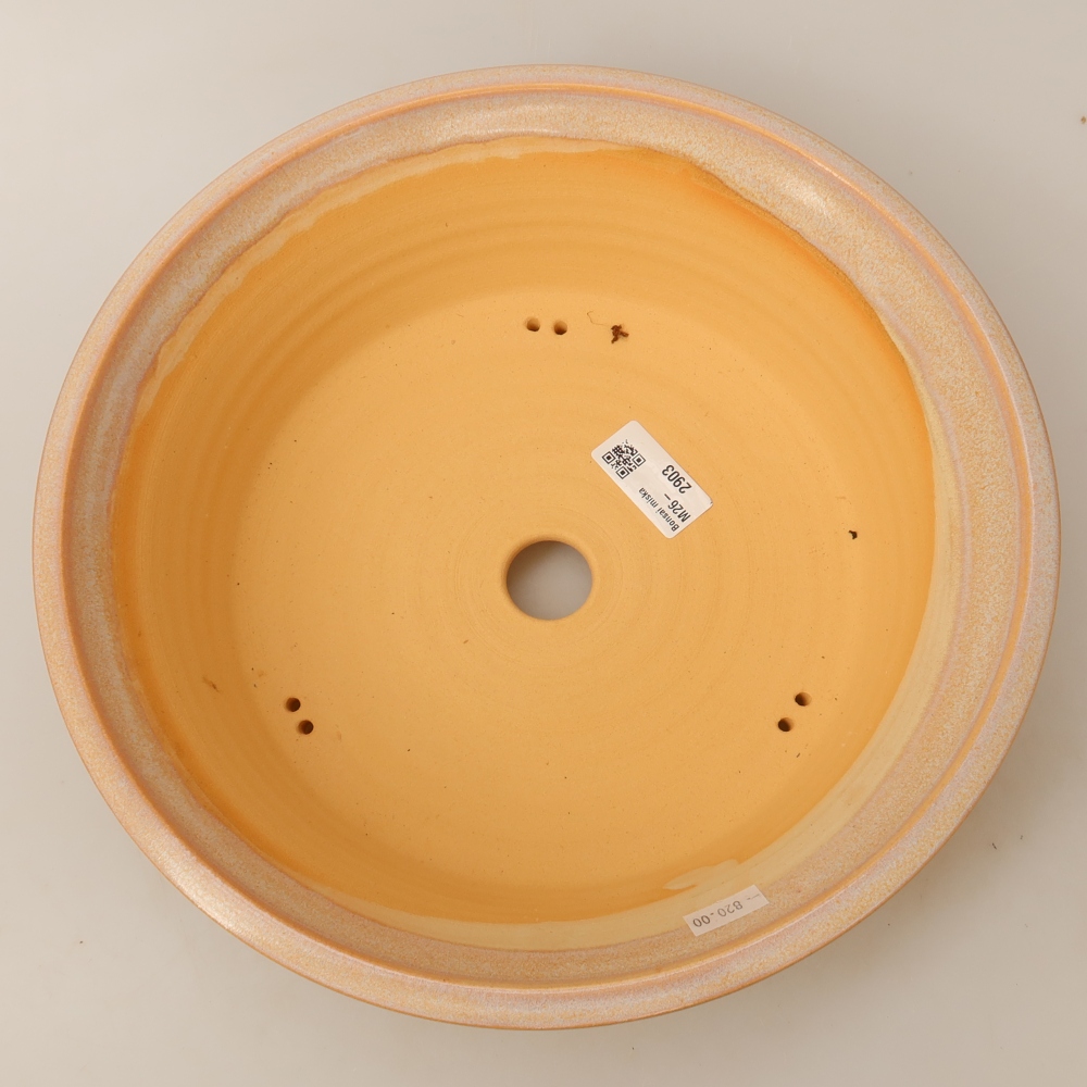 Pot à bonsaï en céramique 29 x 29 x 8,5 cm, couleur beige