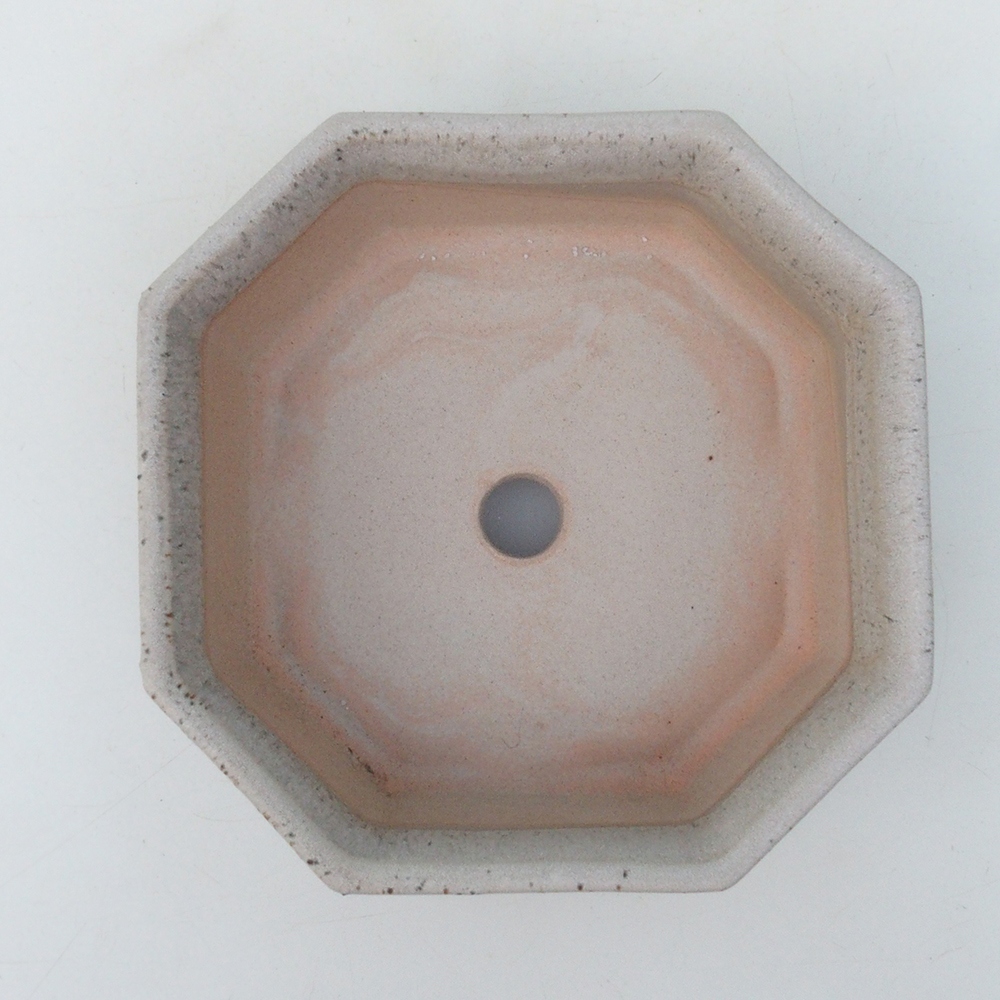 Coupe bonsaï H13 - 12,5 x 12,5 x 4,5 cm - beige