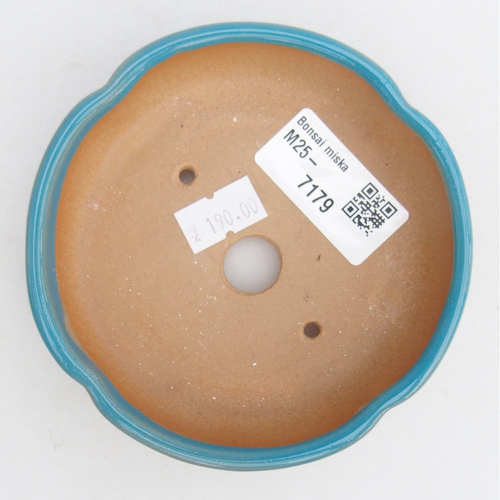 Bol à bonsaï en céramique 11 x 11 x 3 cm, couleur bleu