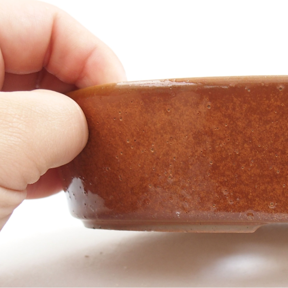 Bol à bonsaï en céramique 22 x 17 x 5 cm, vert