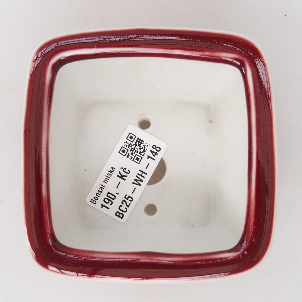 Bol à bonsaï en céramique 9,5 x 9,5 x 5 cm, couleur rouge