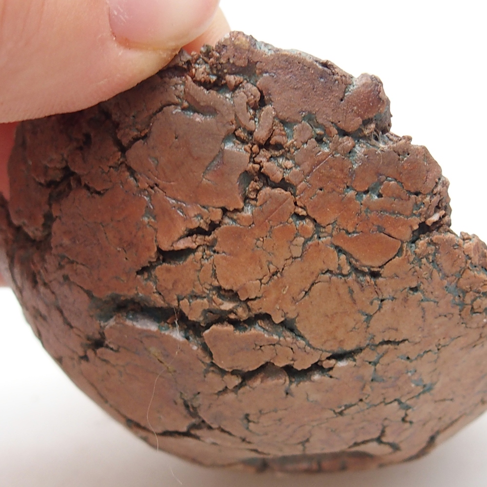 Coquille en céramique 7,5 x 7 x 4 cm , couleur verte