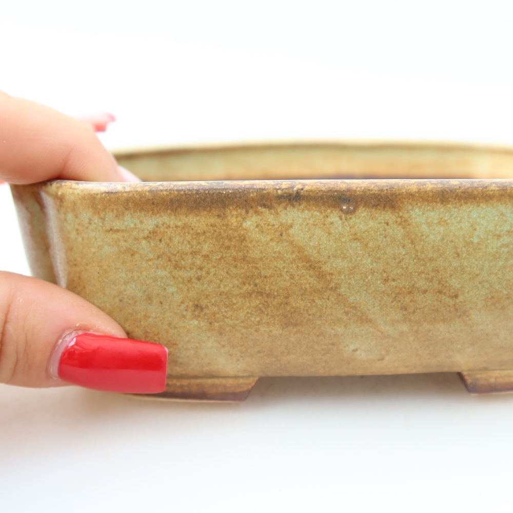 Pot à bonsaï en céramique 13,5 x 12 x 4 cm, couleur verte