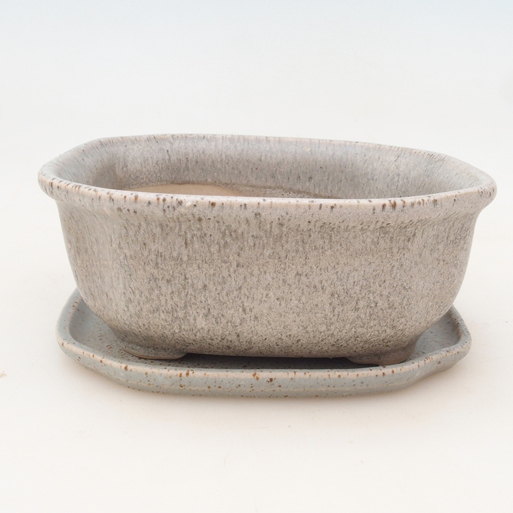 Bol Bonsaï + soucoupe H32 - beige