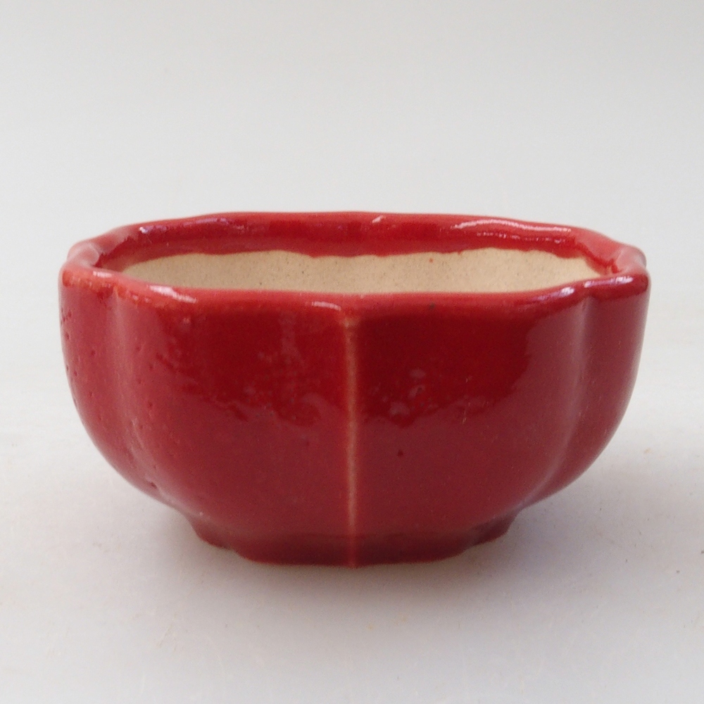 Mini bol bonsaï 6 x 5,5 x 2,5 cm, couleur rouge