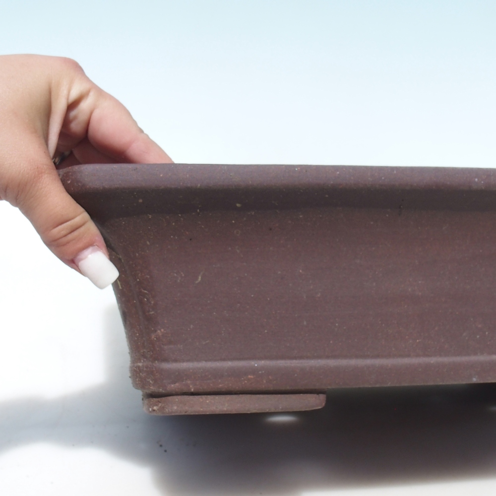 Bol bonsaï 42 x 33 x 10 cm - brun