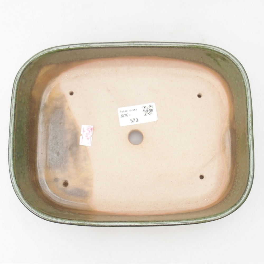 Bol à bonsaï en céramique 22,5 x 17 x 6 cm, vert