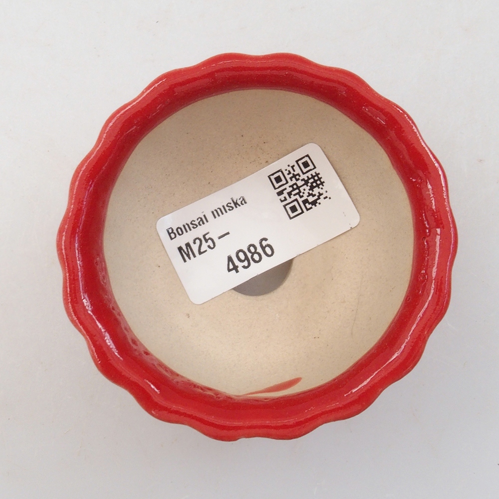 Mini bol bonsaï 7 x 7 x 3,5 cm, couleur rouge