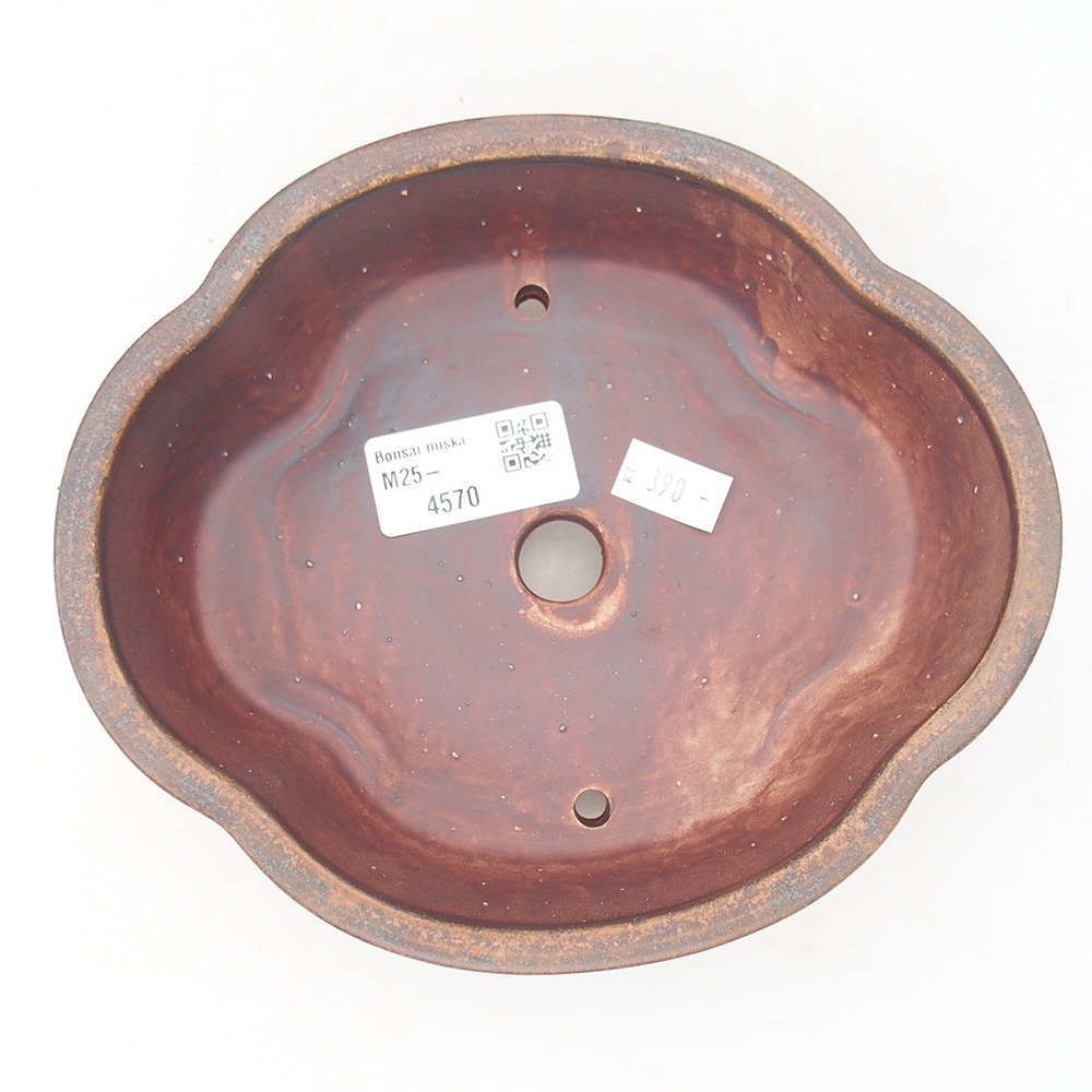 Bol à bonsaï en céramique 17 x 15,5 x 5,5 cm, brun
