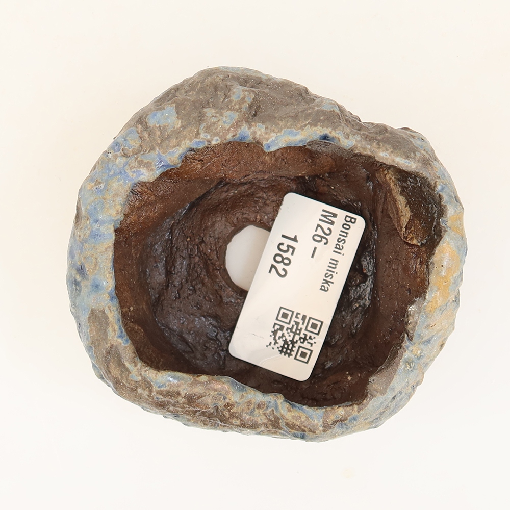 Coquille en céramique  6 x 5 x 5 cm, couleur bleue