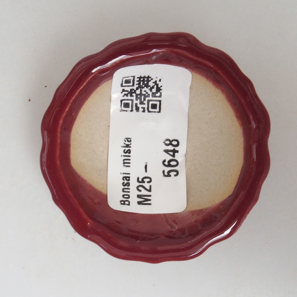 Mini bol bonsaï 5 x 5 x 1,5 cm, couleur bordeaux