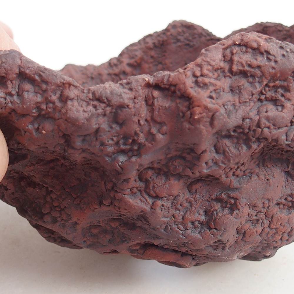 Coquille en céramique 13 x 11 x 12 cm , couleur marron