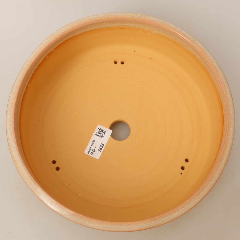 Pot à bonsaï en céramique 24,5 x 24,5 x 8 cm, couleur beige