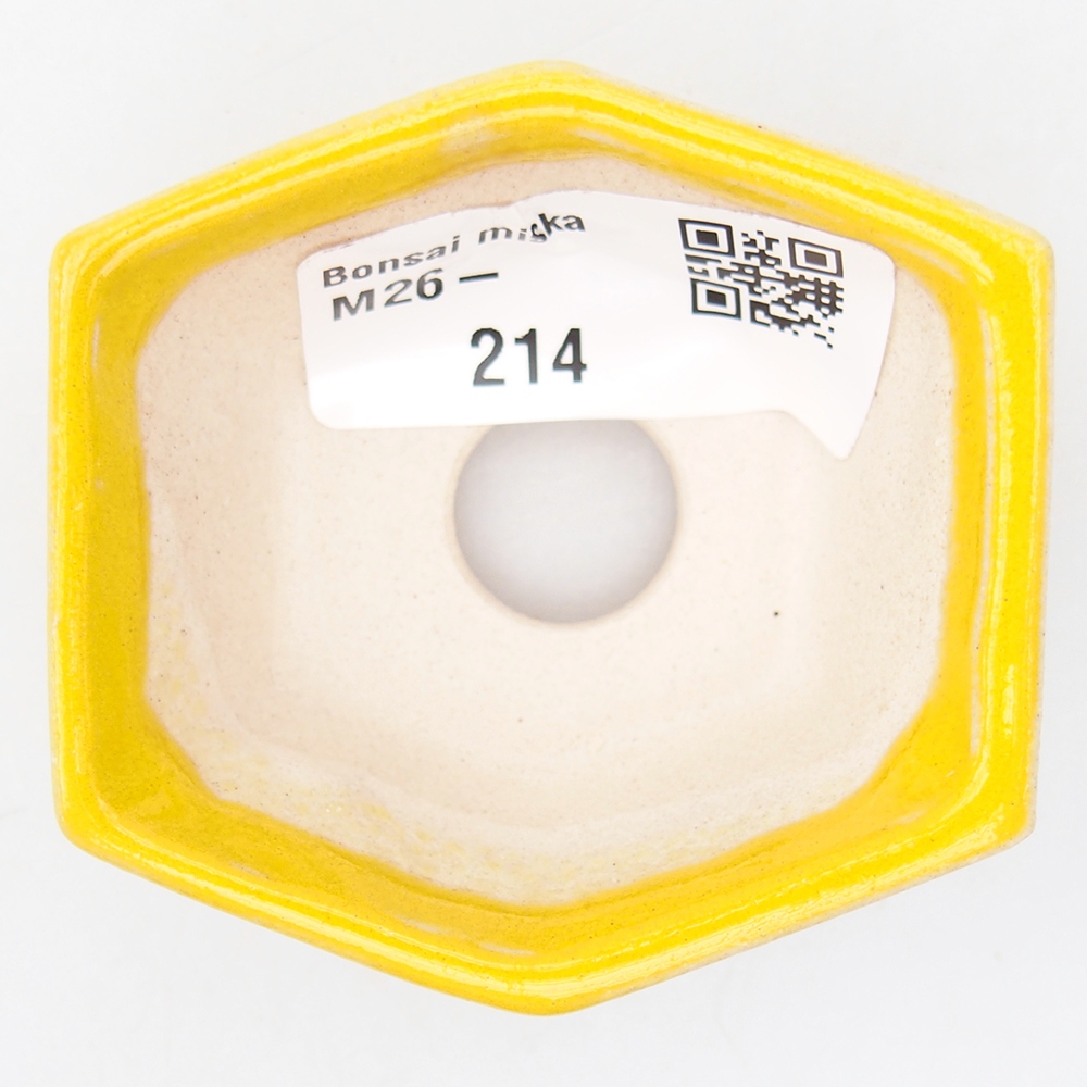 Mini bol bonsaï 6 x 5,5 x 2,5 cm, jaune
