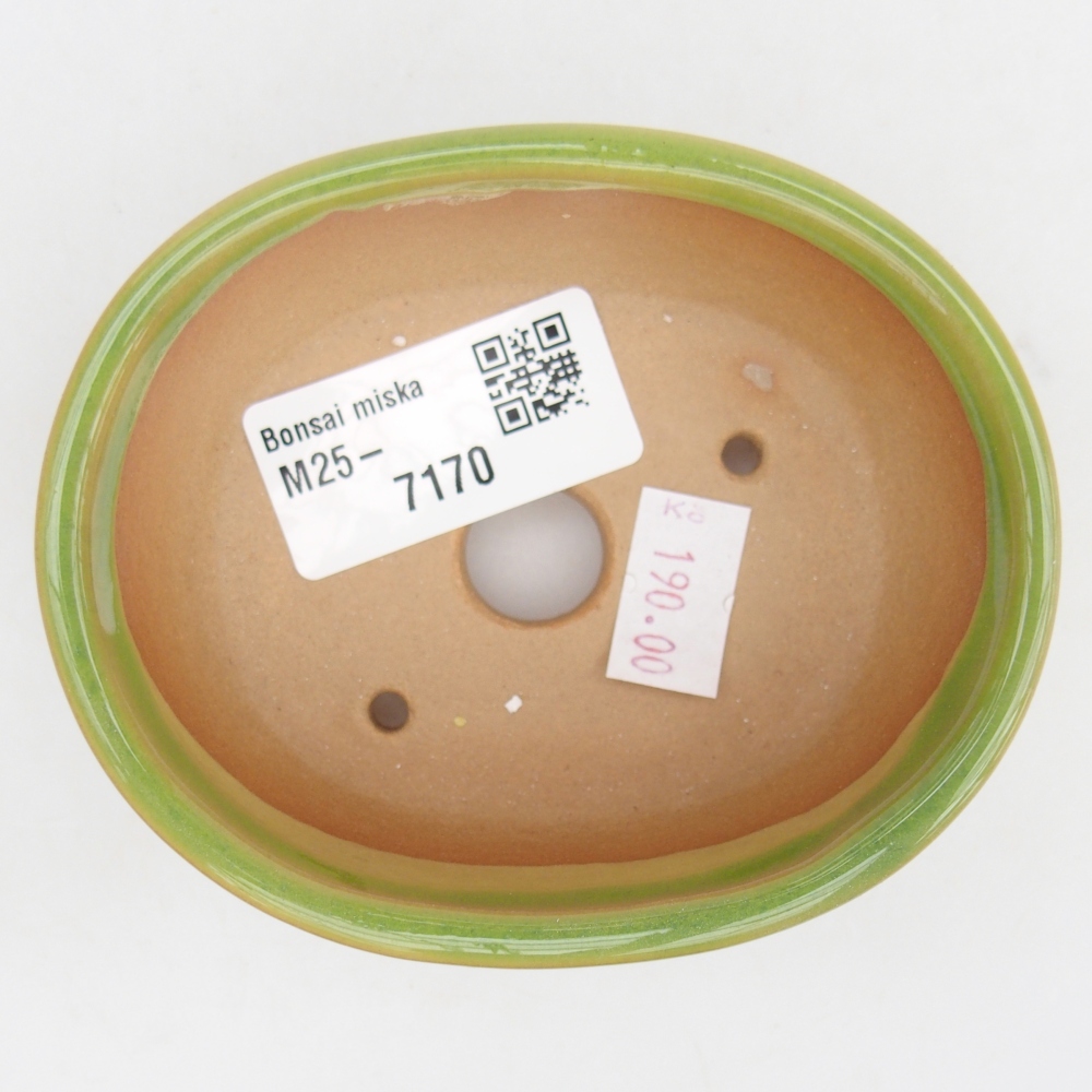 Bol à bonsaï en céramique 9,5 x 7,5 x 3,5 cm, vert