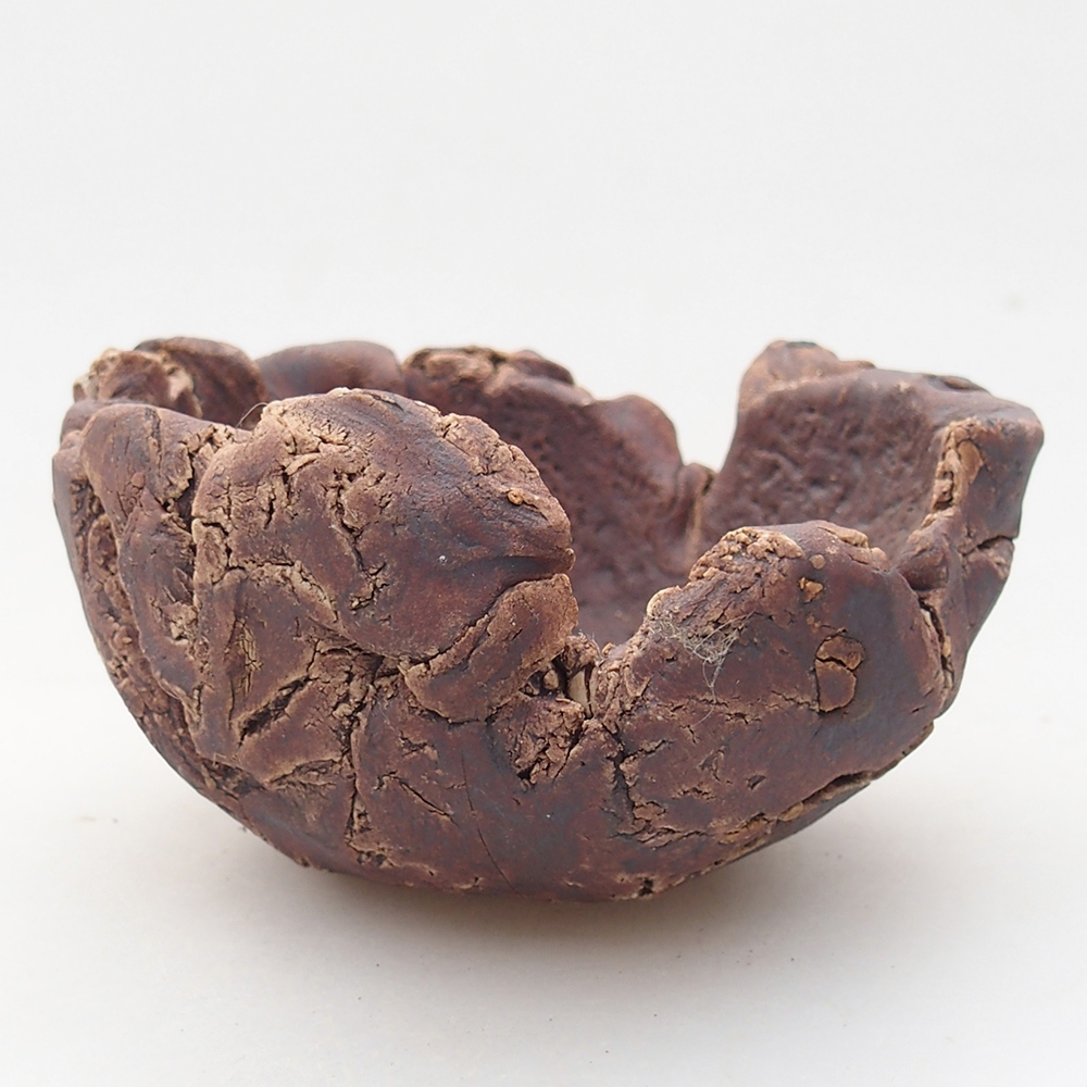 Coquille en céramique 10 x 9 x 5,5 cm , couleur marron