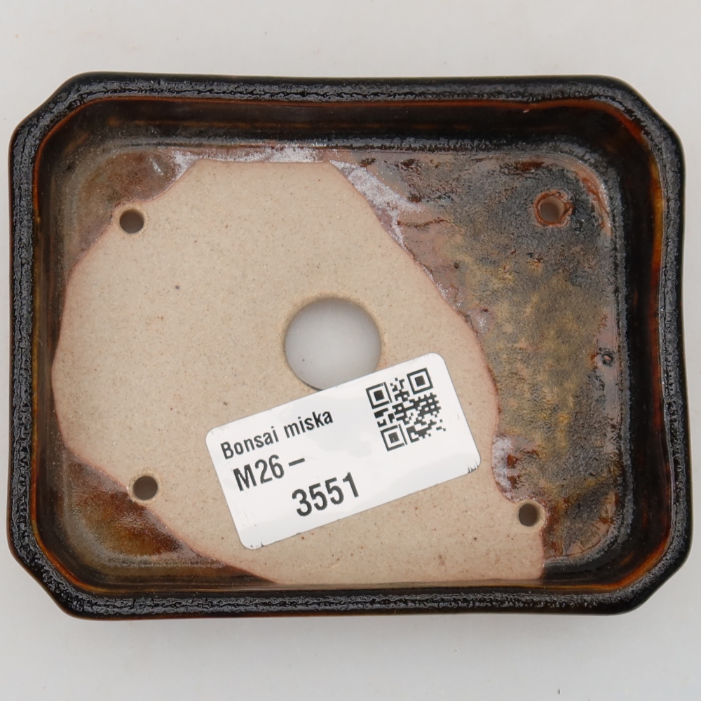 Pot à bonsaï en céramique 10 x 8 x 2 cm, couleur marron