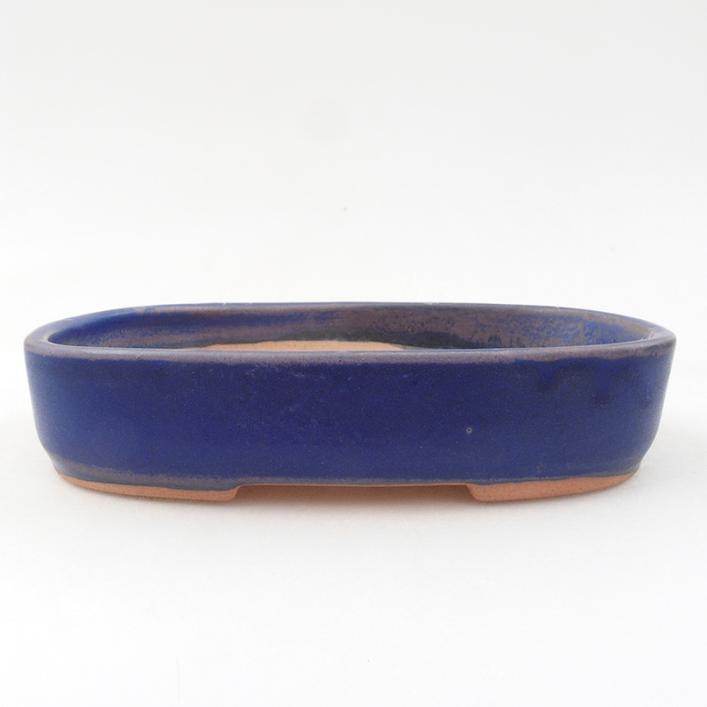 Bol à bonsaï en céramique 16 x 11 x 3,5 cm, couleur bleu