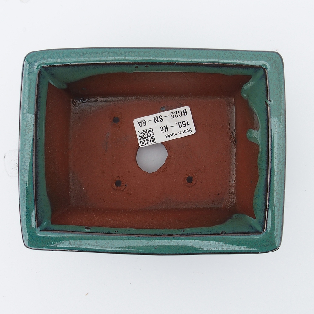 Bol 16 x 12,5 x 6,5 cm vert