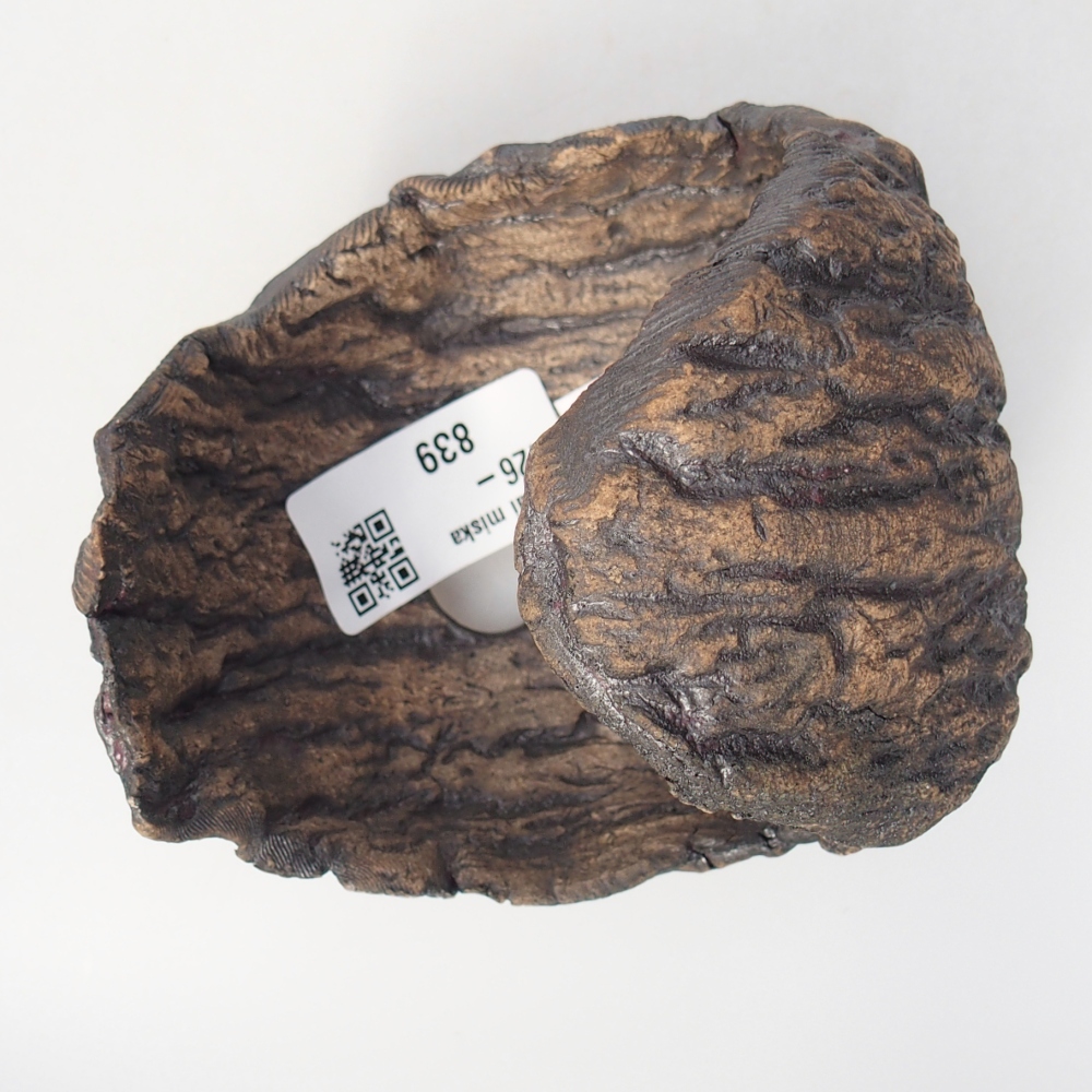 Coquille en céramique 10 x 9 x 10 cm , couleur marron