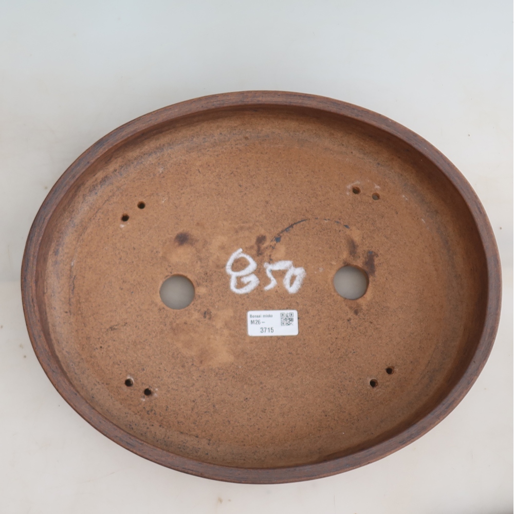 Pot à bonsaï en céramique 36 x 30 x 7 cm, couleur marron