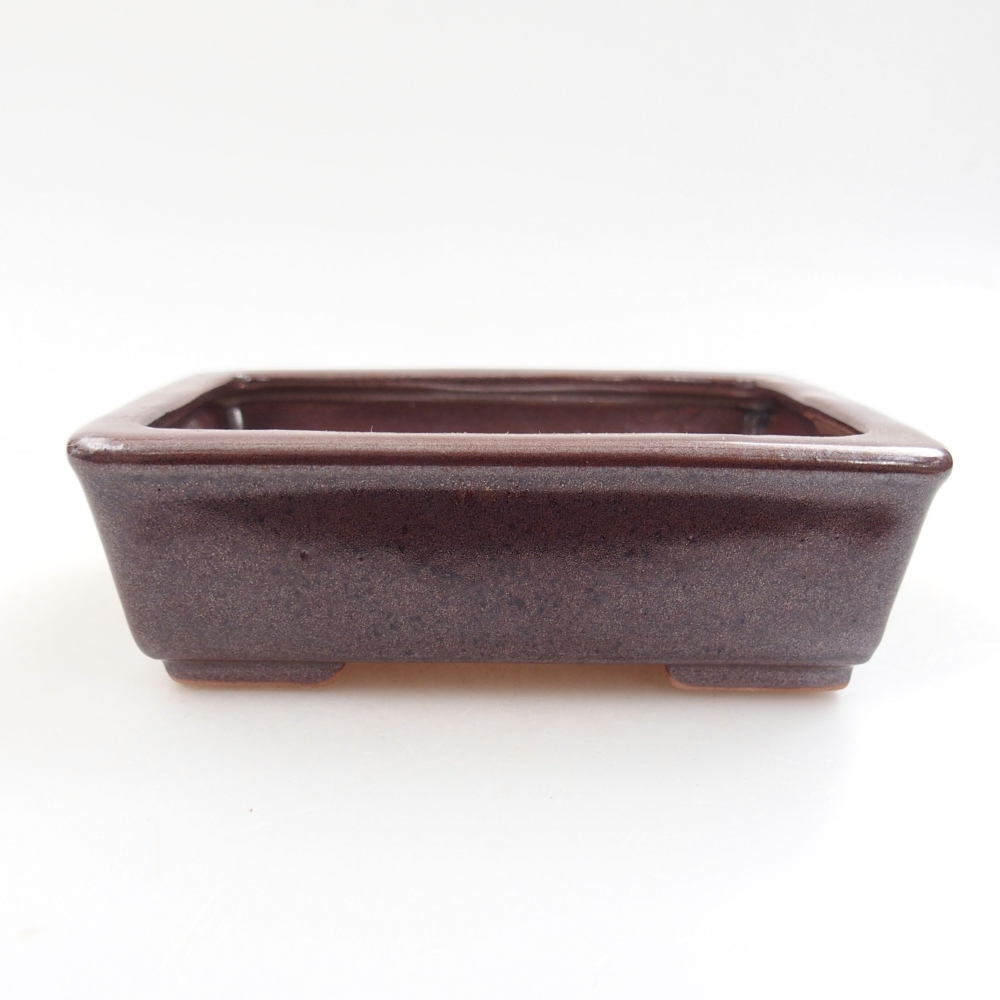 Bol à bonsaï en céramique 22 x 17 x 5 cm, vert