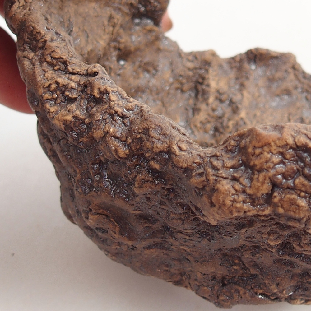 Coquille en céramique 10 x 9 x 9 cm , couleur marron