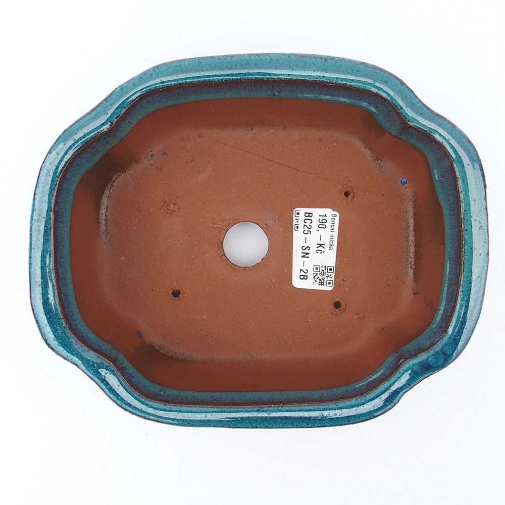 Bol 20 x 16 x 6,5 cm bleu-vert