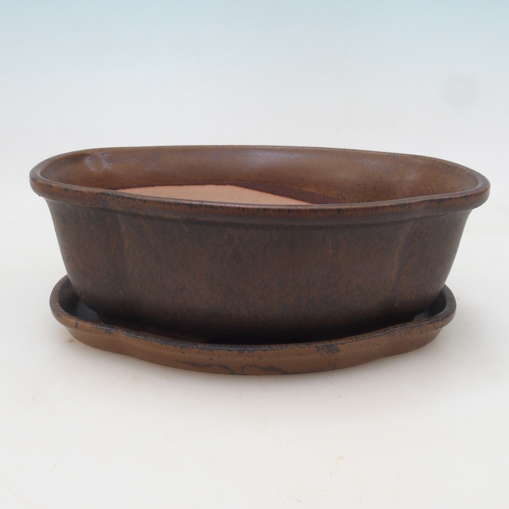 Bol Bonsaï + soucoupe H75 - brun