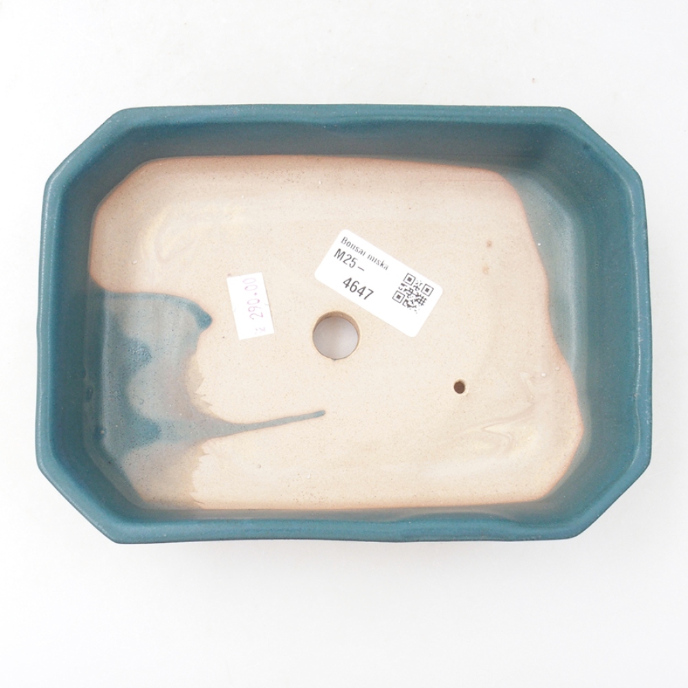 Bol à bonsaï en céramique 19 x 13,5 x 4 cm, couleur bleu